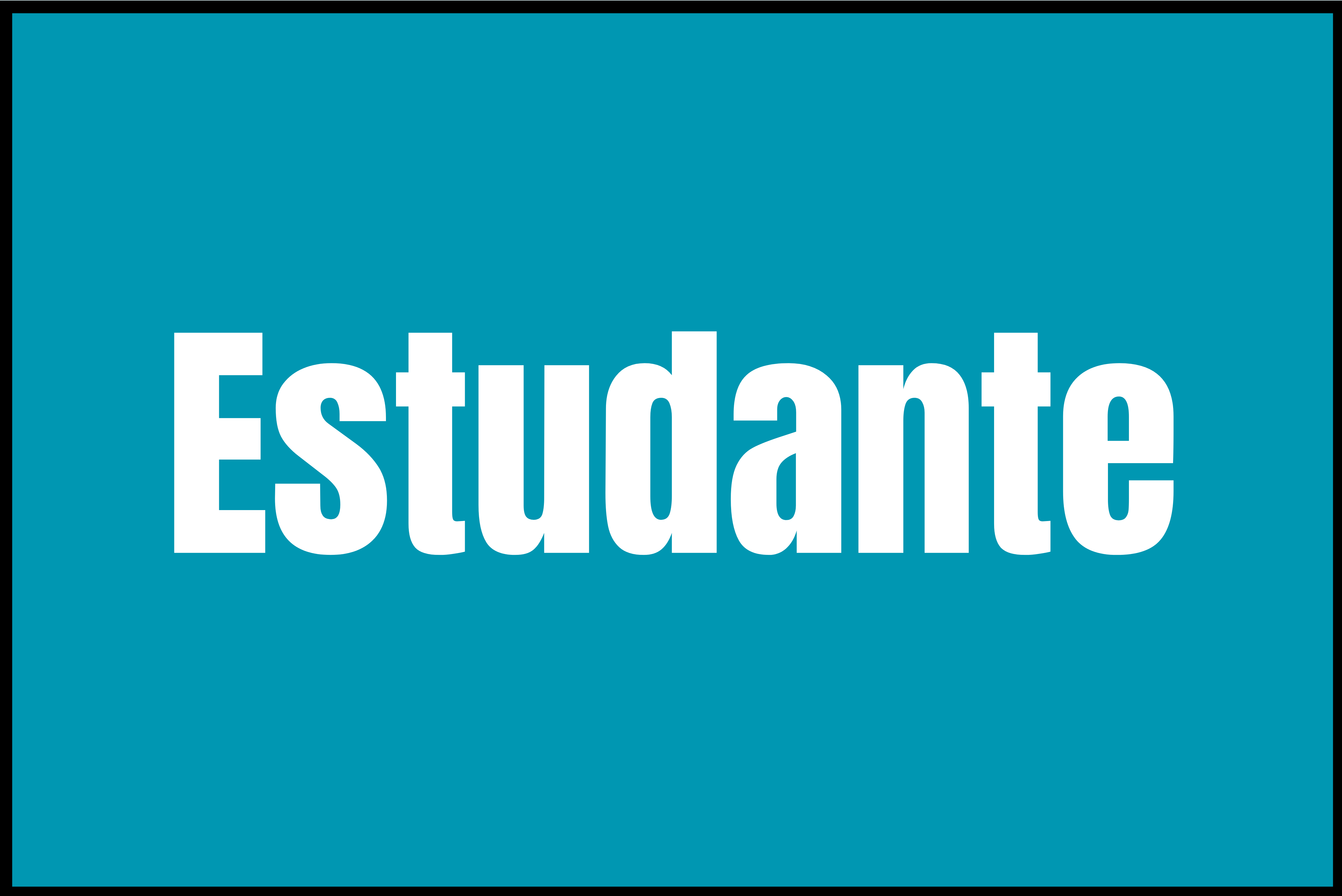 Estudante Graduação